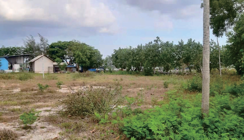 Sewa Aset Tanah Kosong Jl. Grajagan Banyuwangi Thumbnail 8