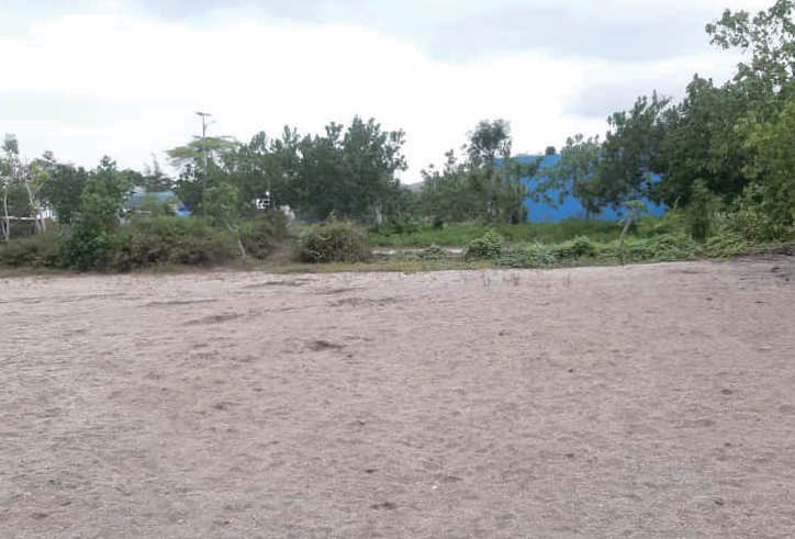 Sewa Aset Tanah Kosong Jl. Grajagan Banyuwangi - Foto 5