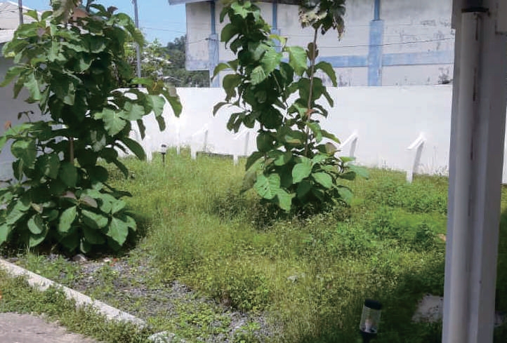 Sewa Aset Perniagaan Pondok Dadap Kab. Malang Thumbnail 6