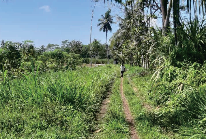 Sewa Aset Tanah Kosong Kelurahan Condro, Pasiran Kab. Lumajang Thumbnail 8