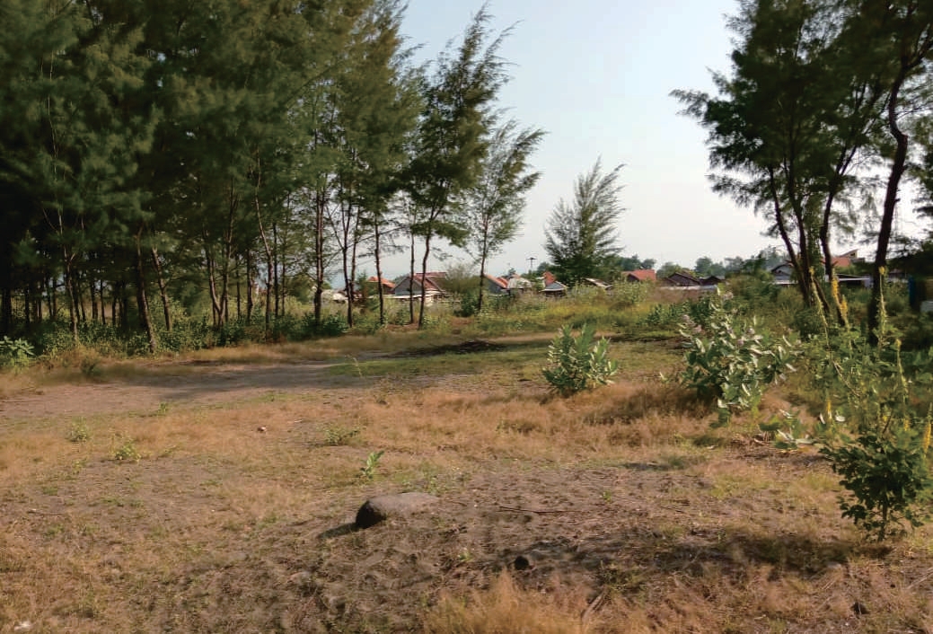 Sewa Aset Perniagaan Sumeranyar Paiton, Kab. Probolinggo Thumbnail 7