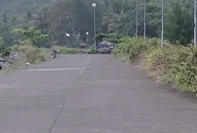 Sewa Aset Tanah Kosong Prigi Kec. Watulimo Kab. Trenggalek - Foto 4