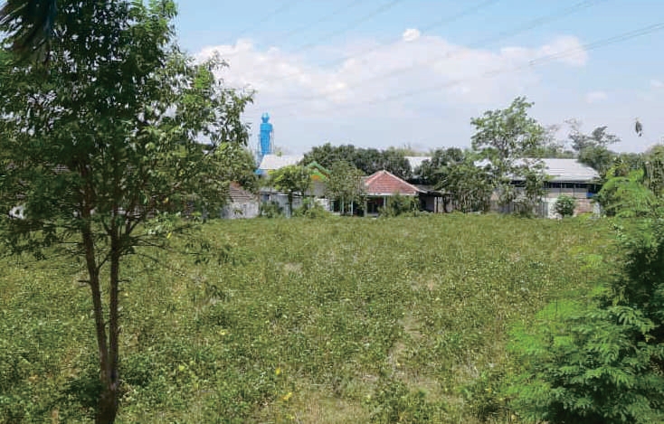 Sewa Aset Tanah Kosong di Jl. Malasan, Kab. Probolinggo Thumbnail 8