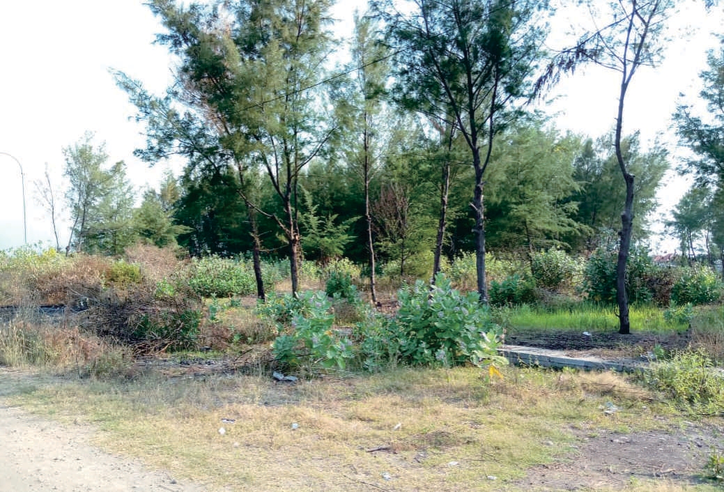 Sewa Aset Perniagaan Sumeranyar Paiton, Kab. Probolinggo Thumbnail 10