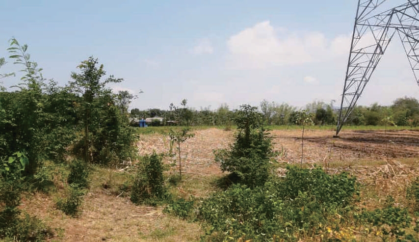 Sewa Aset Tanah Kosong di Jl. Malasan, Kab. Probolinggo - Foto 3