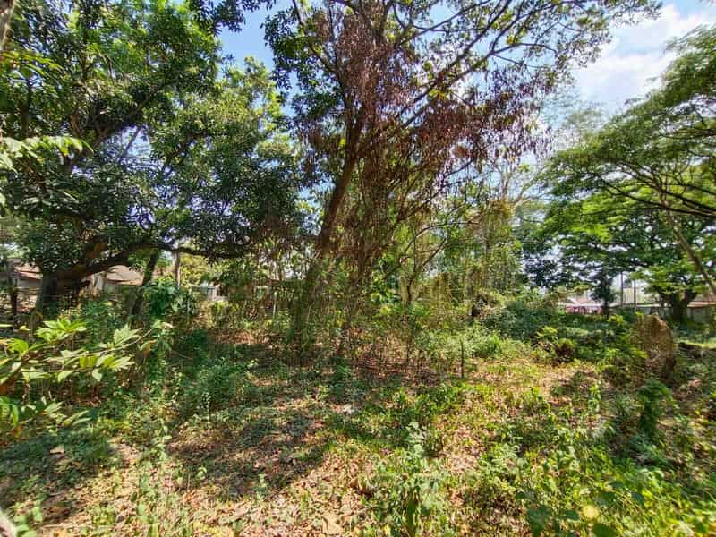 Sewa Aset Tanah Kosong Base Camp, Kab. Tuban - Jl Tuban Lamongan Thumbnail 10