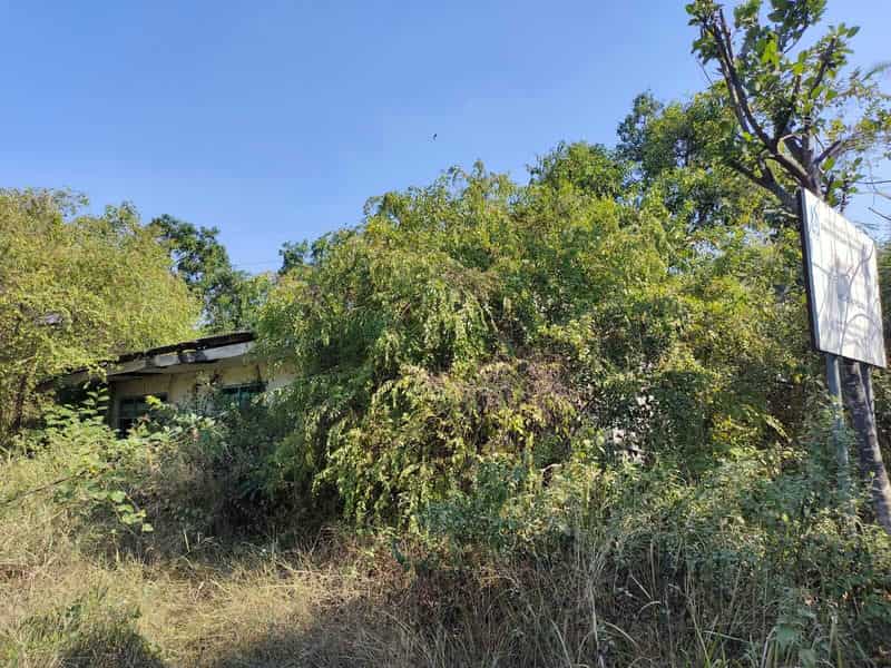 Sewa Aset Tanah Kosong Pertanian, - Kabalan,  Kanor,  Kab. Bojonegoro Thumbnail 7