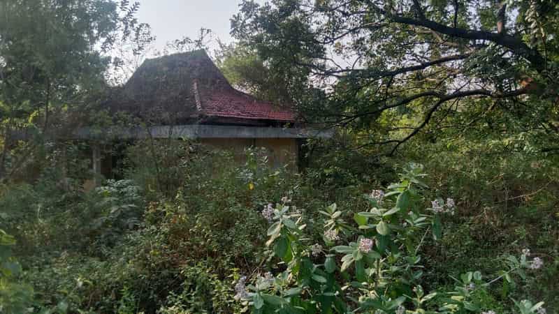 Sewa Aset Perkantoran Kantor Pengamat Jalan, Kab. Tuban - Jl. Raya Tuban Semarang - Foto 3