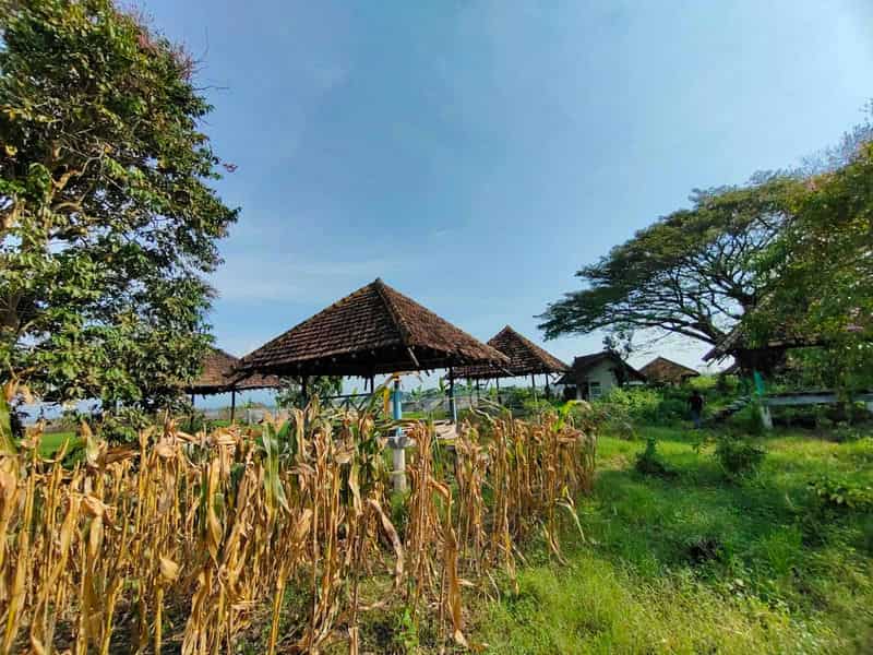 Sewa Aset Tanah Kosong, Eks Rest Area Ngawi, Kab. Ngawi - Jl Raya Solo, Ngawi Thumbnail 6