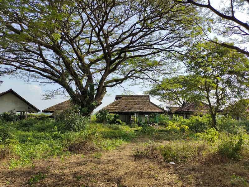 Sewa Aset Tanah Kosong, Eks Rest Area Ngawi, Kab. Ngawi - Jl Raya Solo, Ngawi Thumbnail 10