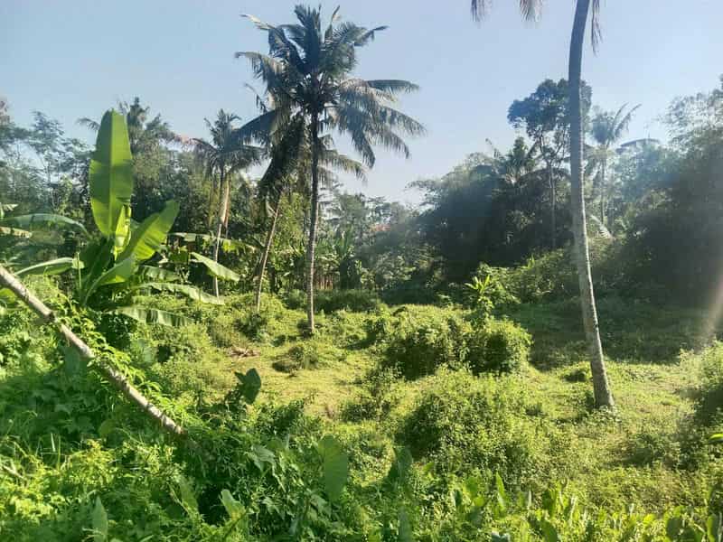 Sewa Aset Tanah Kosong Stren, Kab. Lumajang - Jl. Raya Lumajang -Jember - Foto 4