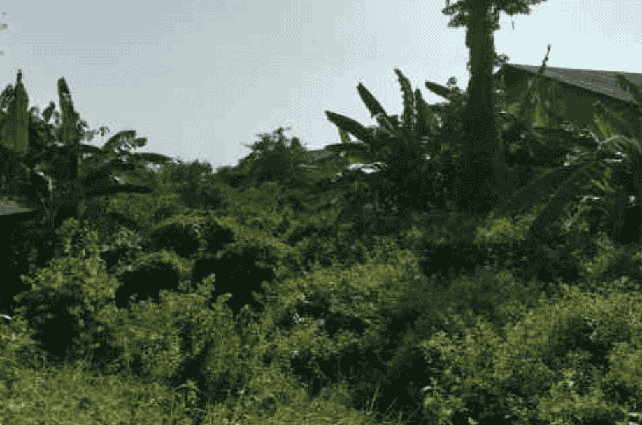 Sewa Aset Tanah Kosong Dinas PU Bina Marga - Jl. A Yani Babat Caruban Thumbnail 6