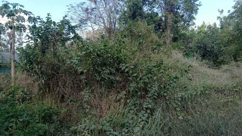 Sewa Aset Tanah Kosong Pertanian, - Kabalan,  Kanor,  Kab. Bojonegoro - Foto 4