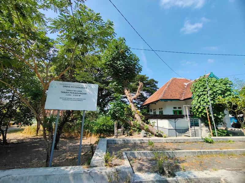 Sewa Aset Perkantoran Bangunan eks Karantina Hewan Aset Dinas Peternakan, Kab. Banyuwangi - Jl Raya Situbondo-Banyuwangi Thumbnail 7