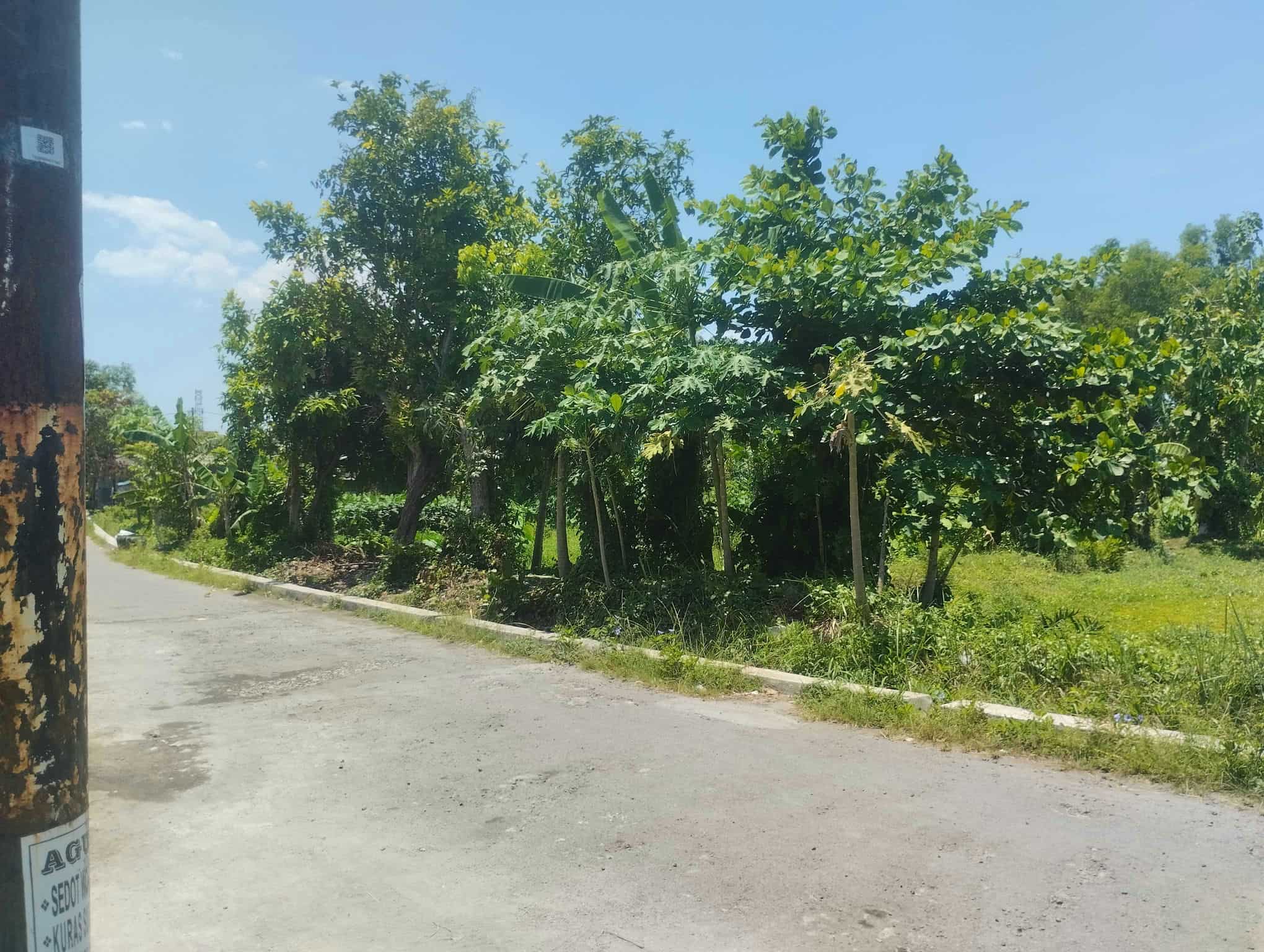 Sewa Aset Tanah Kosong Kebun Rumput Kemayoran, Kab. Bangkalan - Desa Kemayoran Bangkalan Thumbnail 8