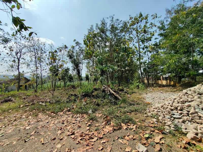 Sewa Aset Tanah Kosong Perkantoran, Kab. Tuban - Jl. Imam Bonjol Thumbnail 8