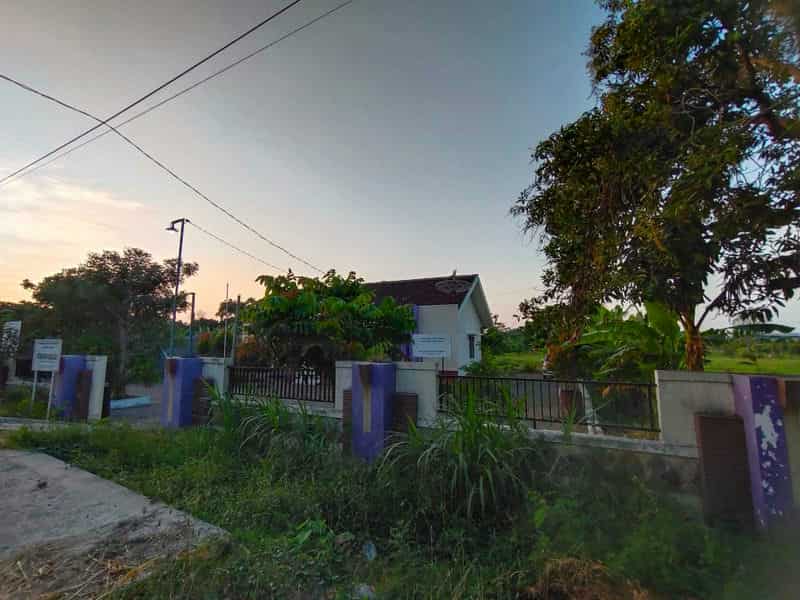 Sewa Aset Tanah Kosong, Kebun Rumput Trebungan, Kab. Situbondo - sekarputih, Timur, Trebungan, Mangaran Thumbnail 6