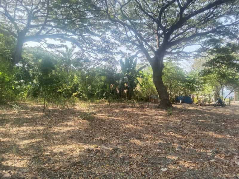 Sewa Aset Perkantoran Bangunan eks Karantina Hewan Aset Dinas Peternakan, Kab. Banyuwangi - Jl Raya Situbondo-Banyuwangi - Foto 2