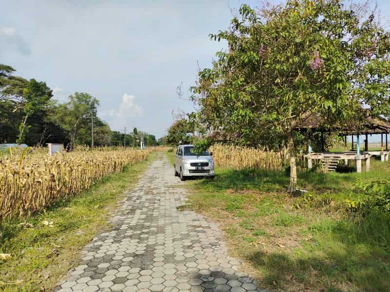 Sewa Aset Tanah Kosong, Eks Rest Area Ngawi, Kab. Ngawi - Jl Raya Solo, Ngawi - Foto 3