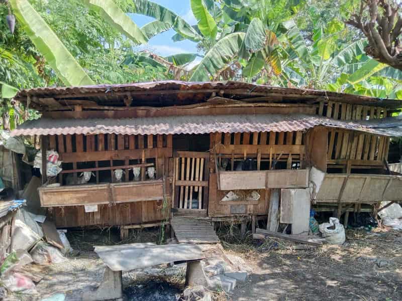 Sewa Aset Tanah Kosong, Kota Surabaya - Jl. Sutorejo Thumbnail 9