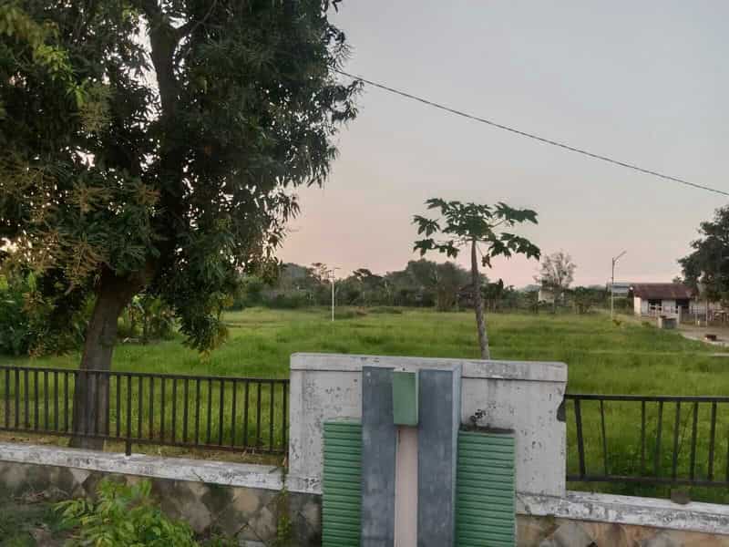 Sewa Aset Tanah Kosong, Kebun Rumput Trebungan, Kab. Situbondo - sekarputih, Timur, Trebungan, Mangaran - Foto 2