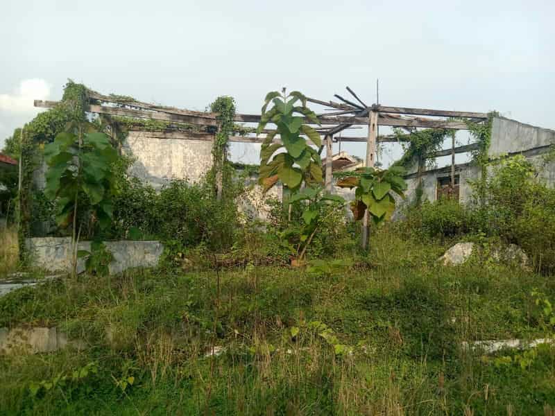 Sewa Aset Ruang Terbuka UPT PPSAA Nganjuk di Ngawi, Kab. Ngawi - Jl. K.H. Ahmad Dahlan Thumbnail 8