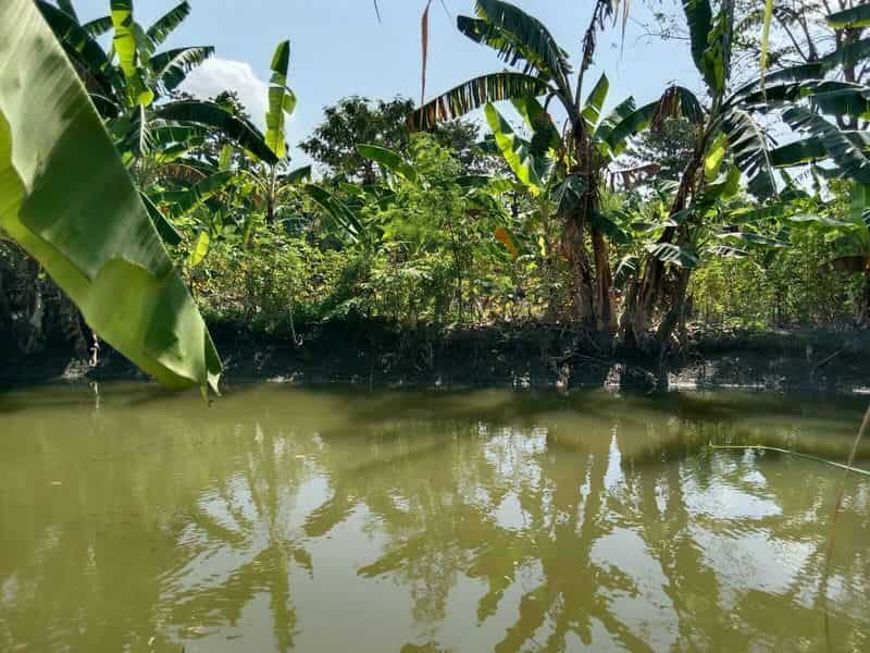 Sewa Aset Tanah Kosong, Kota Surabaya - Jl. Sutorejo Thumbnail 6