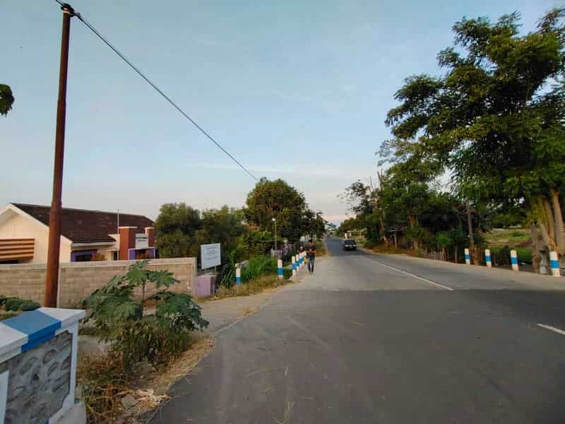 Sewa Aset Tanah Kosong, Kebun Rumput Trebungan, Kab. Situbondo - sekarputih, Timur, Trebungan, Mangaran Thumbnail 9