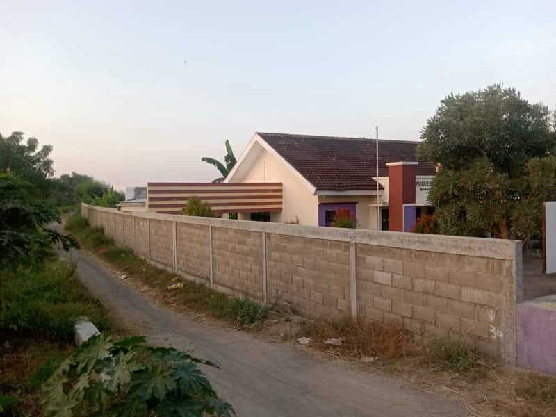 Sewa Aset Tanah Kosong, Kebun Rumput Trebungan, Kab. Situbondo - sekarputih, Timur, Trebungan, Mangaran - Foto 1