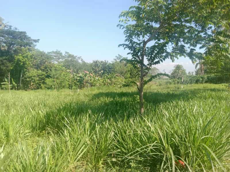 Sewa Aset Tanah Kosong Stren, Kab. Lumajang - Jl. Raya Lumajang -Jember - Foto 2