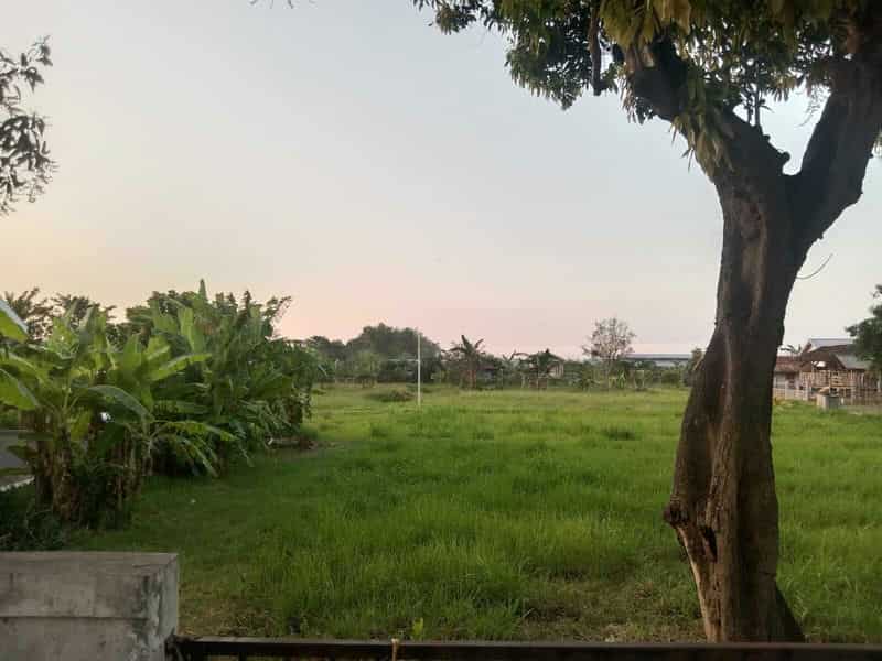 Sewa Aset Tanah Kosong, Kebun Rumput Trebungan, Kab. Situbondo - sekarputih, Timur, Trebungan, Mangaran - Foto 4