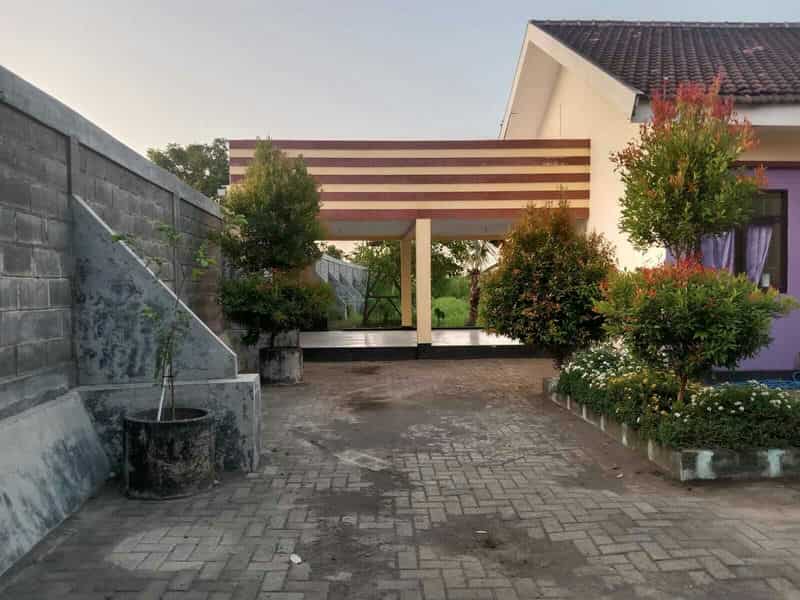 Sewa Aset Tanah Kosong, Kebun Rumput Trebungan, Kab. Situbondo - sekarputih, Timur, Trebungan, Mangaran - Foto 5