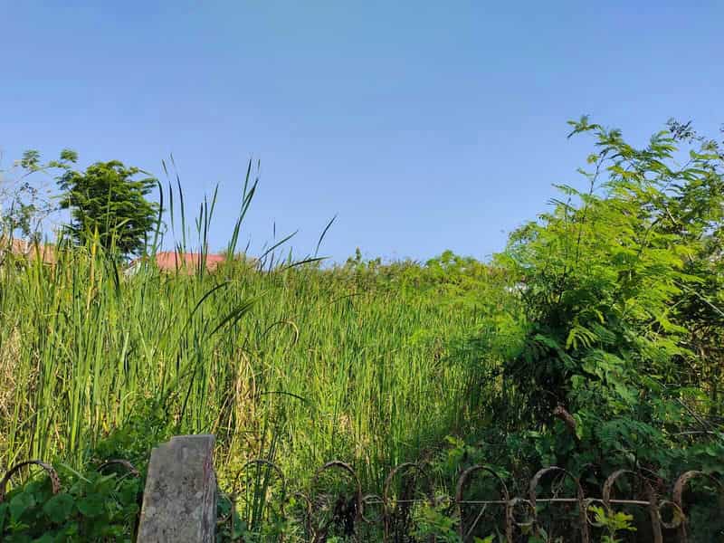 Sewa Aset Ruang Terbuka Kebun Rumput, Kab. Sumenep - Jl. Urip Sumoharjo