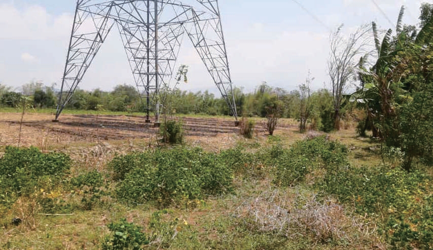 Sewa Aset Tanah Kosong di Jl. Malasan, Kab. Probolinggo